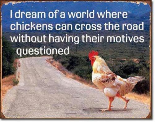 Why Did the Chicken Cross the Road?